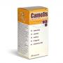 CAMELIS 20 kapsułek